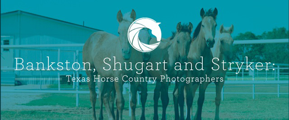 Banner in color showing 4 horses from the front. Behind them is a white building. A white graphic design symbol is overlayed and the exhibit title, Bankston, Shugart, and Stryker The Horse Contry Photographers on it in big white letters.