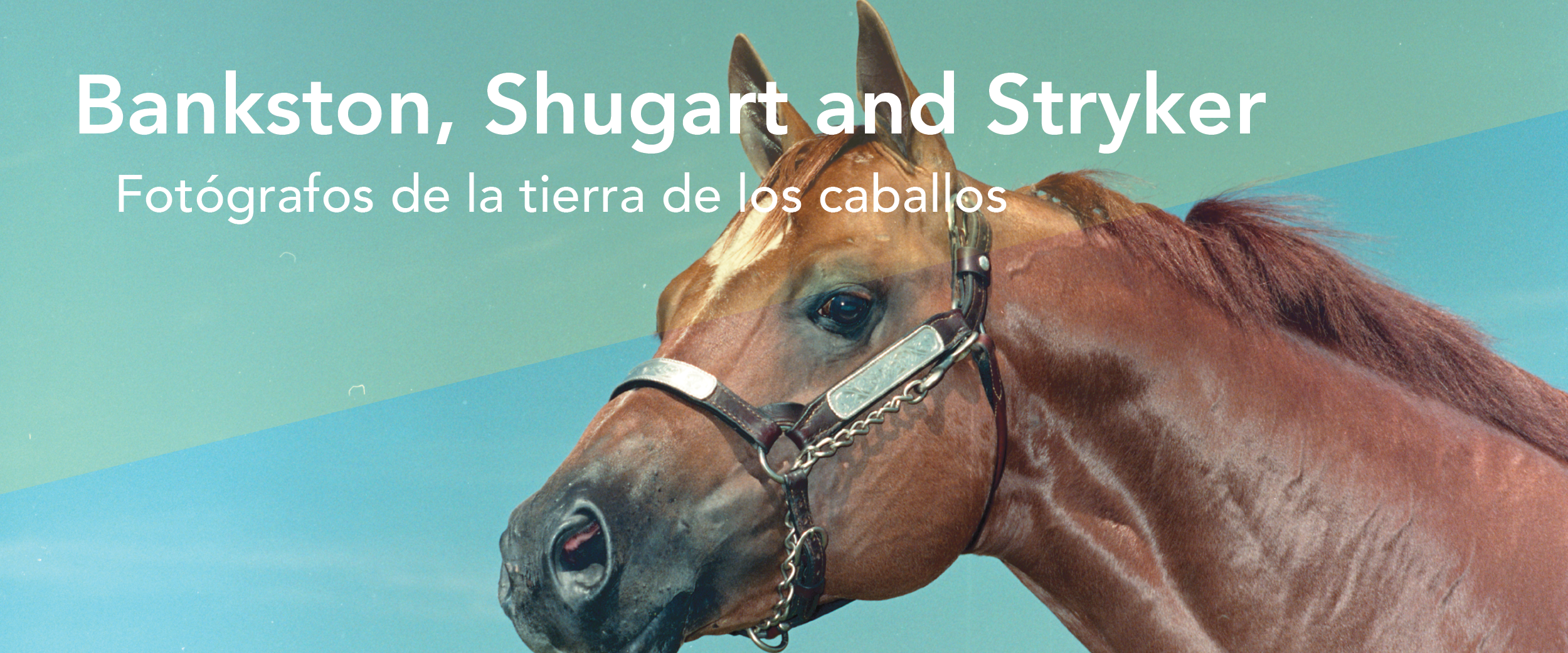 Una pancarta azul y verde con un caballo marrón con un freno. El título de la exposición está en texto blanco que dice Bankston, Shugart y Stryker Fotógrafos de la tierra de los caballos.